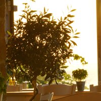 Agorastos Suites