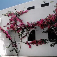 San Antonio Summer House