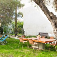Lemon Garden