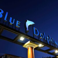 Blue Dolphin