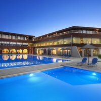Blue Dolphin